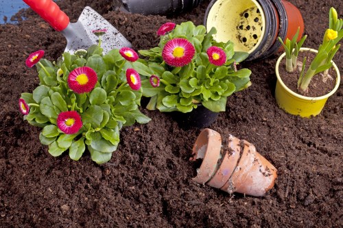 Customer complaint review for a gardening service