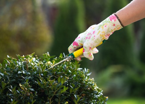 Well-maintained garden lawn in Sydenham Hill