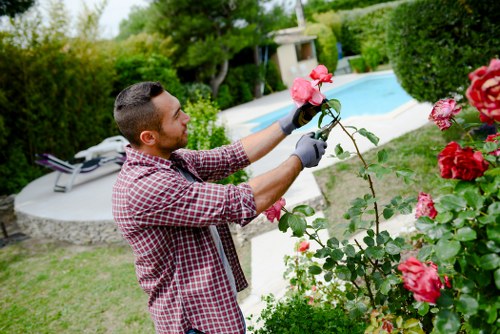 Accessible gardening website content for Sydenham Hill