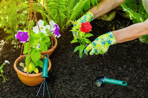 Healthy lawn care in Sydenham Hill with neat green grass