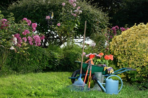 Common hedge types maintained through hedge trimming in Sydenham Hill