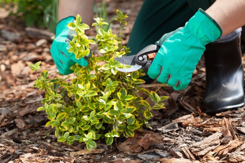 Essential cookies used by Gardeners Sydenham Hill for secure site operation