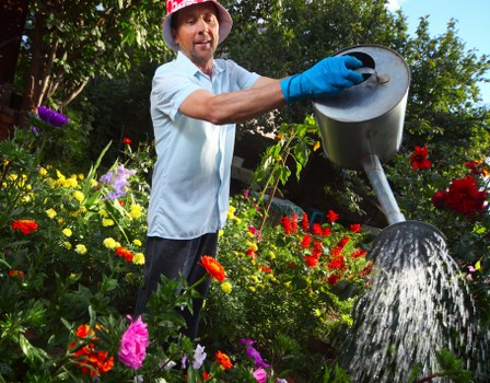 Professional garden waste collection and clearance in Sydenham Hill