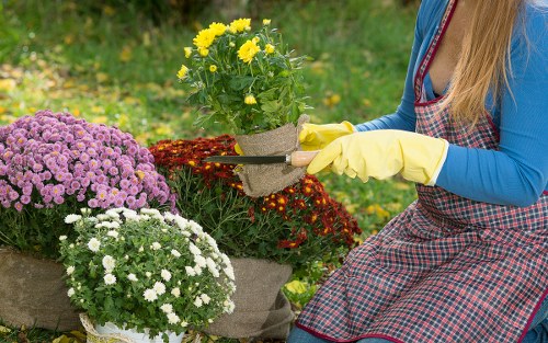 Accepted payment methods for Gardeners Sydenham Hill