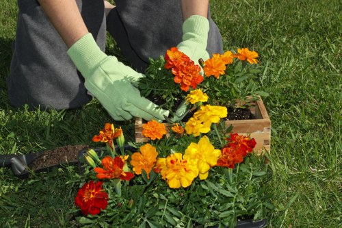 Gardeners Sydenham Hill service pricing breakdown for a local outdoor project
