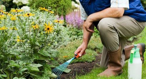 Screen-reader friendly local garden service information