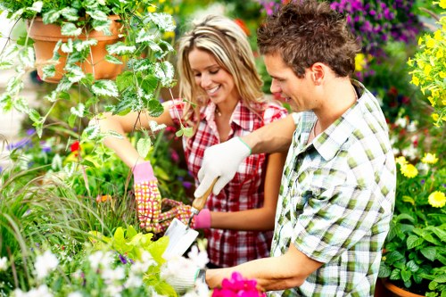 Sydenham Hill garden maintenance with pruning and seasonal care