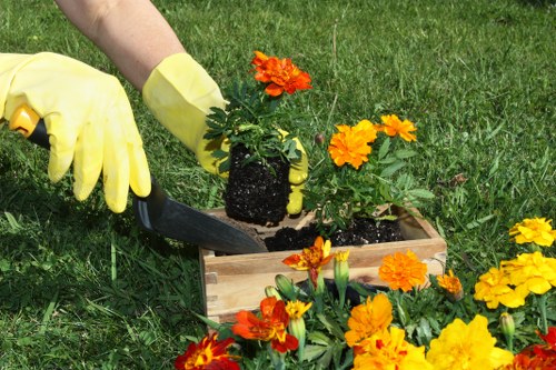 Inclusive online experience for accessible gardening in Sydenham Hill