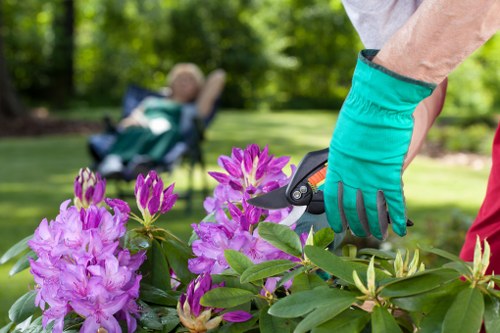 Recycling and sustainability services for gardens in Sydenham Hill