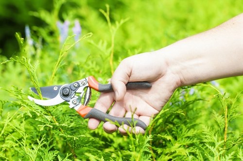 Local gardening services in Sydenham Hill with planting and lawn care