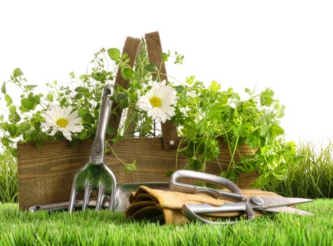 Summary of cookie types and user control for Gardeners Sydenham Hill