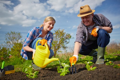 Professional gardeners in Sydenham Hill improving a well-kept outdoor space