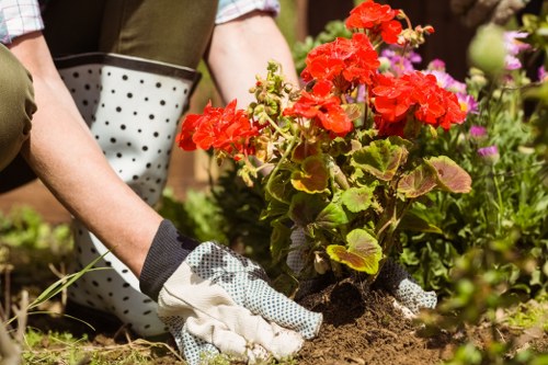 Experienced gardeners in Sydenham Hill supporting seasonal plant care