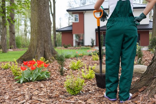 Gardeners Sydenham Hill creating a healthy and attractive garden