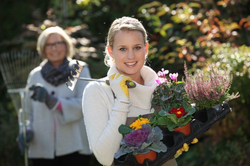 Lawn care and hedge trimming included in gardening services in Sydenham Hill