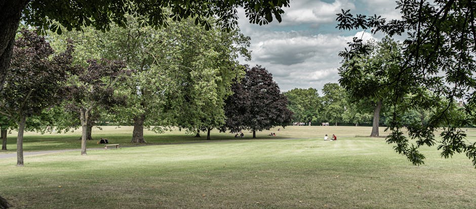 A spacious public park with well-maintained lawns featuring neatly trimmed grass and large, mature trees with lush green and dark burgundy foliage. The grassy areas are interspersed with wide pathways